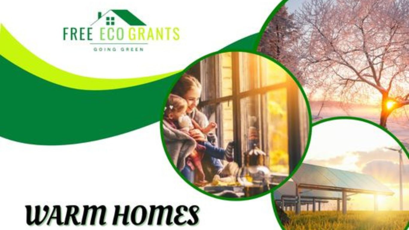 Reasons to Apply for Government Grants Loft Insulation